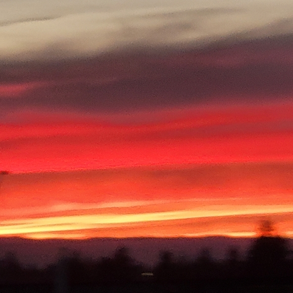 Meet your Posher, Emily - Picture 14 of 14